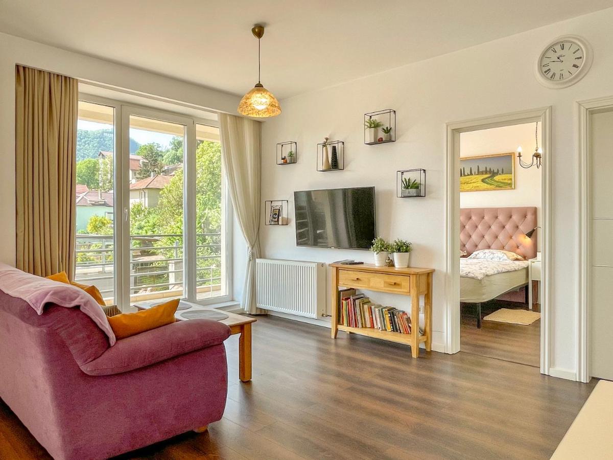 Central Premium Apartment Brašov Exteriér fotografie
