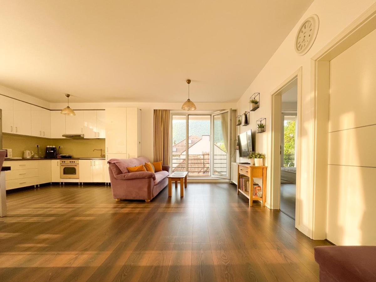 Central Premium Apartment Brašov Exteriér fotografie